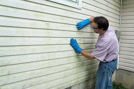 Best Aluminum Siding Installation  in Mazon, IL